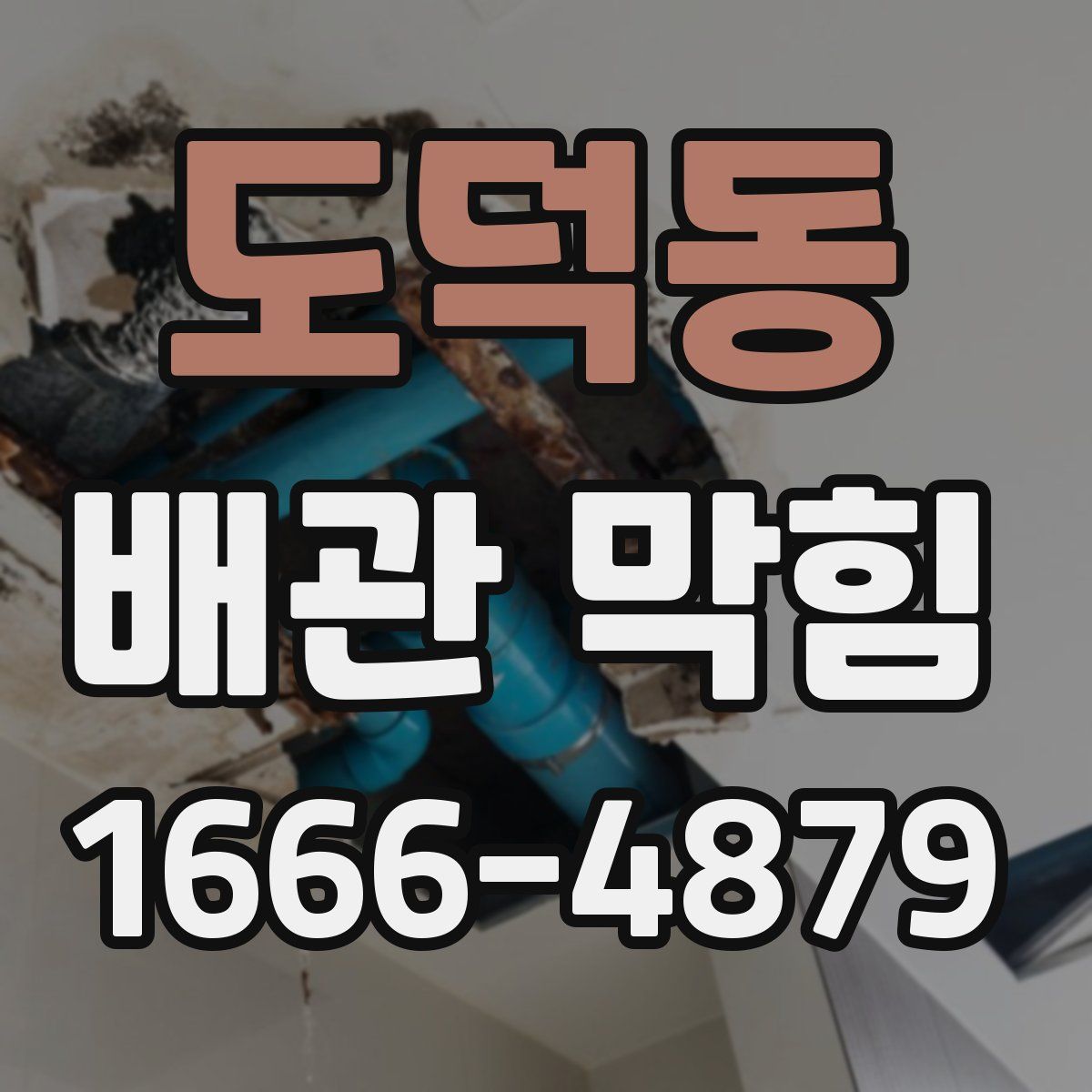 도덕동 배관 막힘