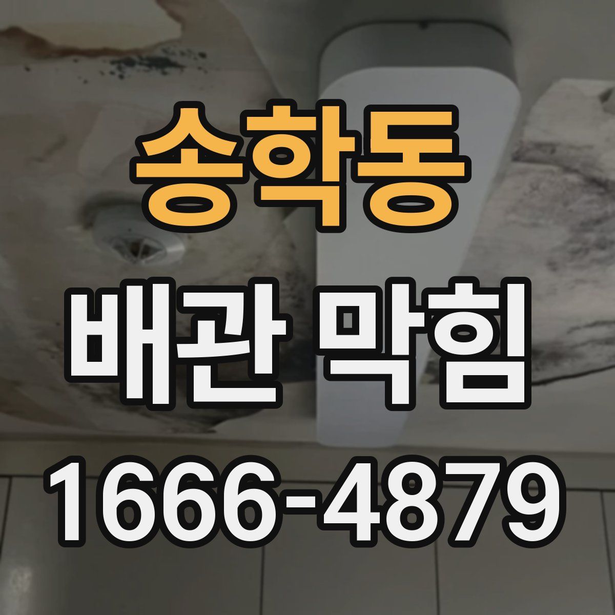 송학동 배관 막힘