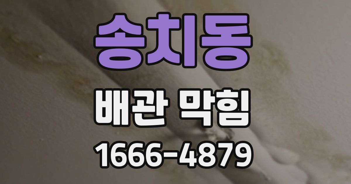 송치동 배관 막힘