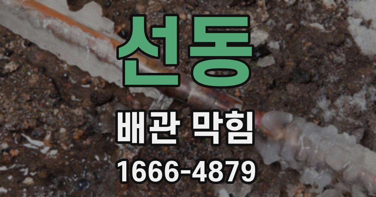 선동 배관 막힘