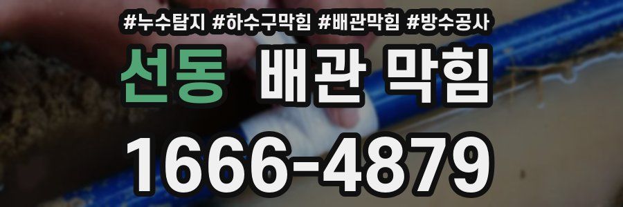 선동 배관 막힘