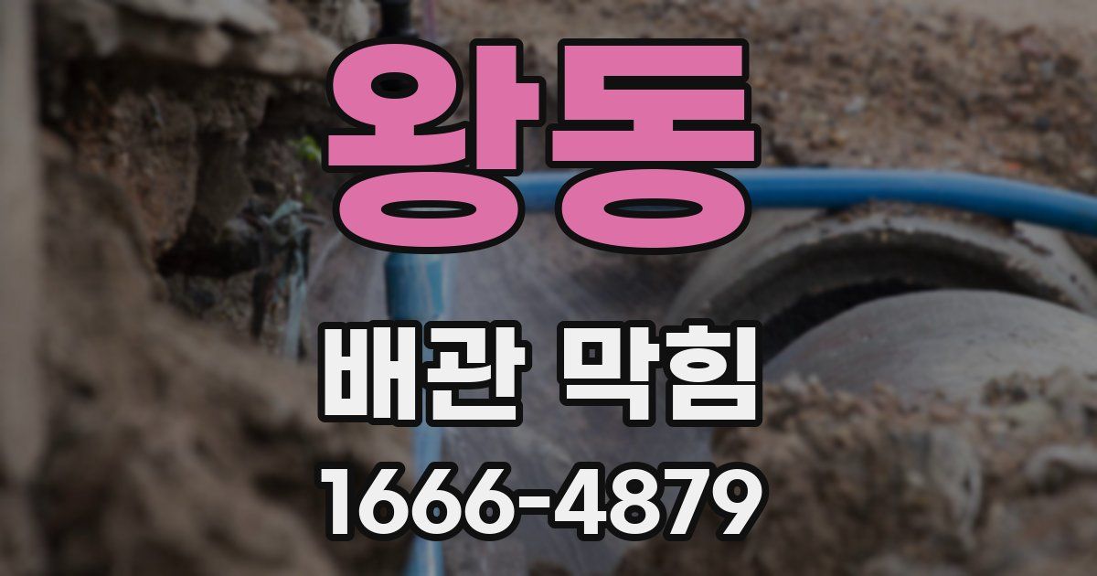 왕동 배관 막힘
