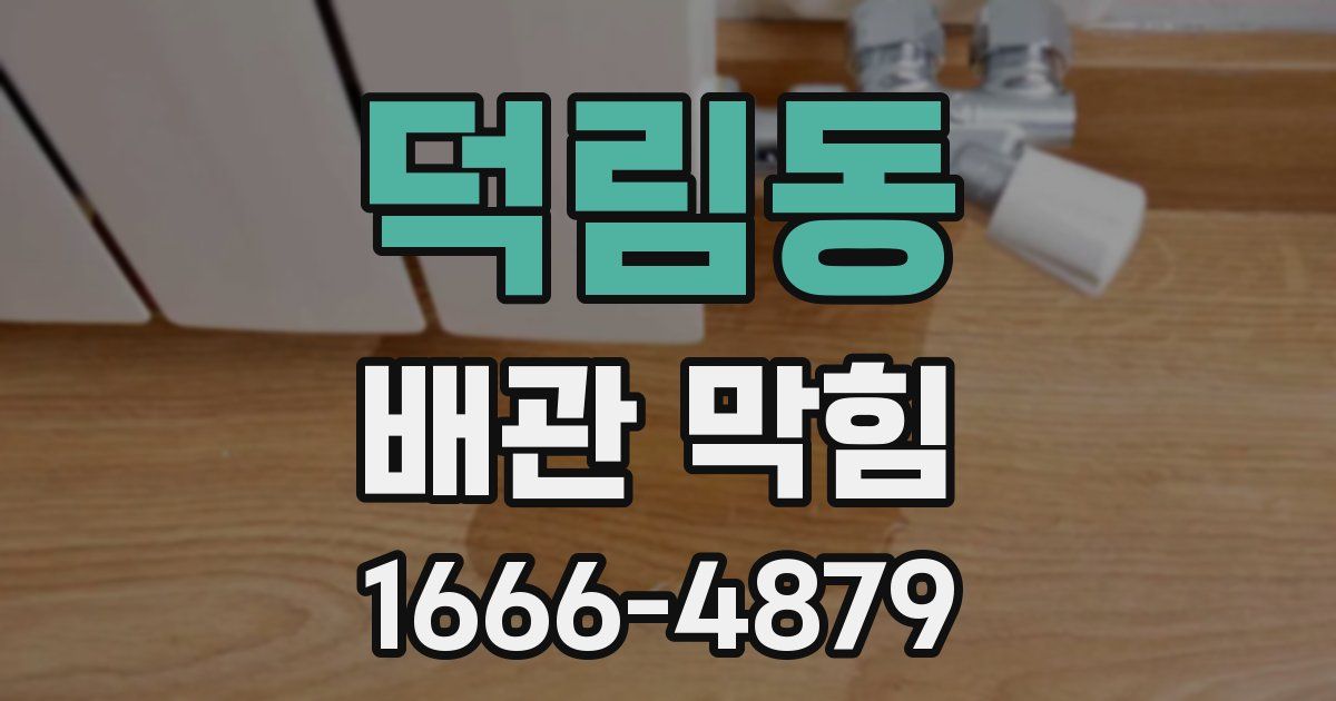 덕림동 배관 막힘
