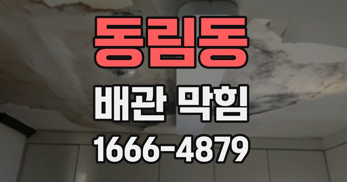 동림동 배관 막힘
