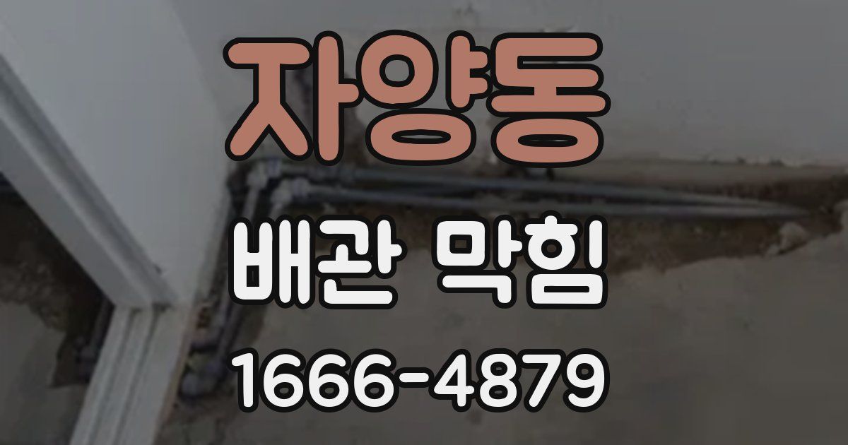 자양동 배관 막힘