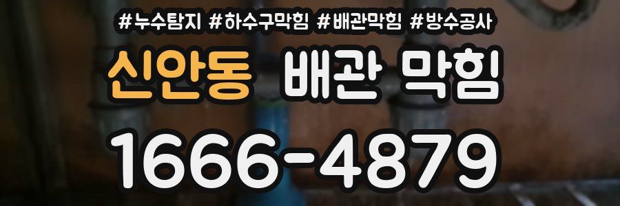 신안동 배관 막힘