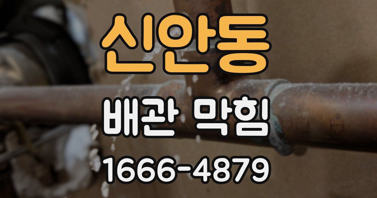 신안동 배관 막힘