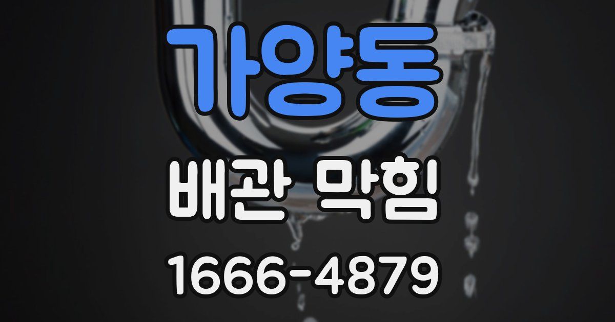 가양동 배관 막힘