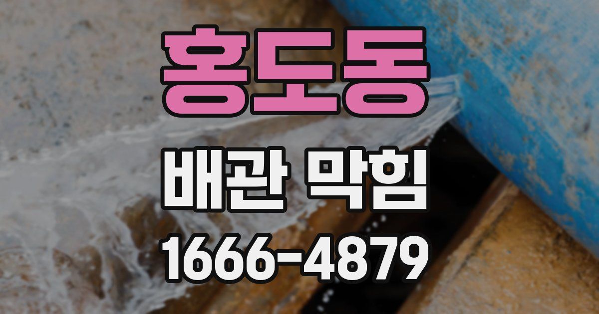 홍도동 배관 막힘
