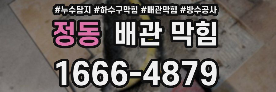 정동 배관 막힘