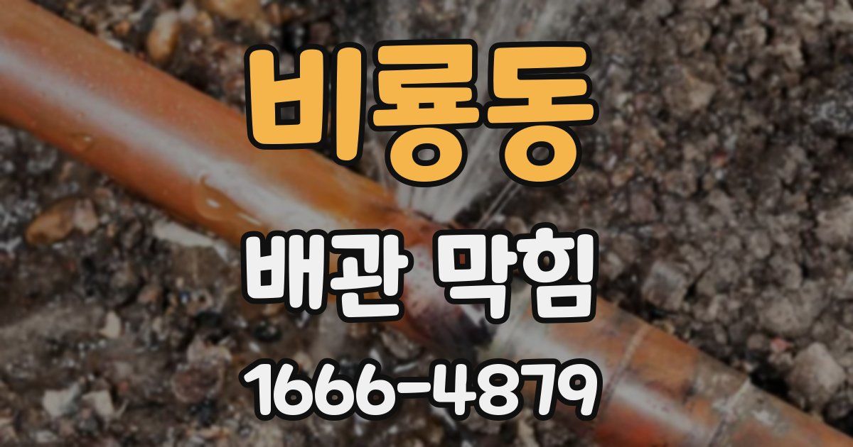 비룡동 배관 막힘