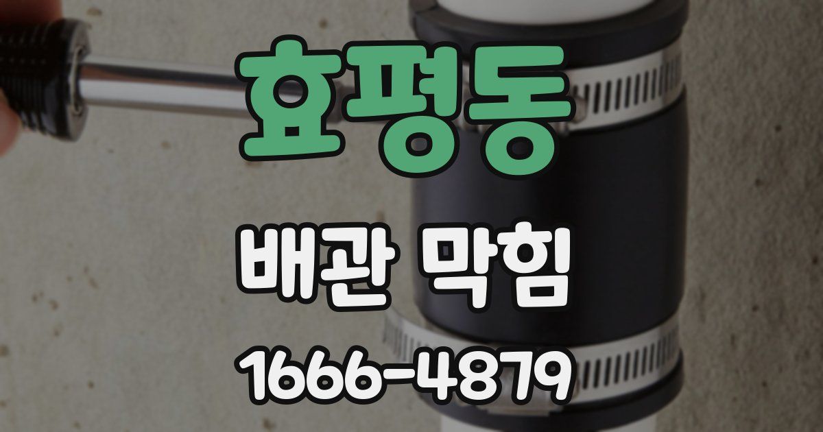 효평동 배관 막힘