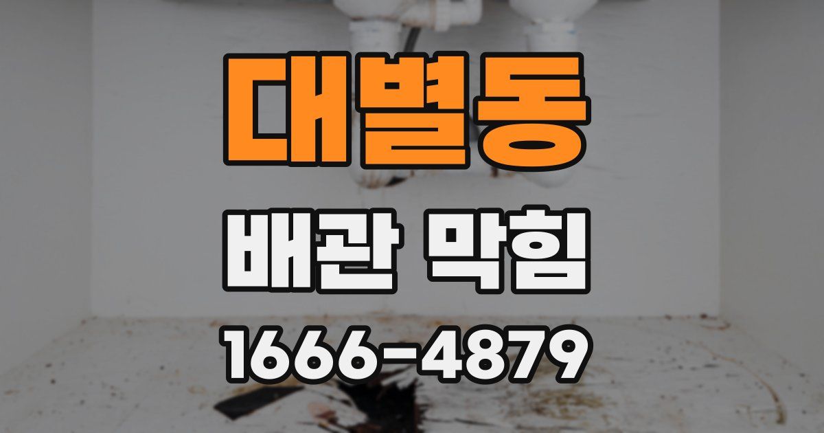 대별동 배관 막힘