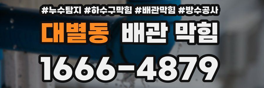 대별동 배관 막힘