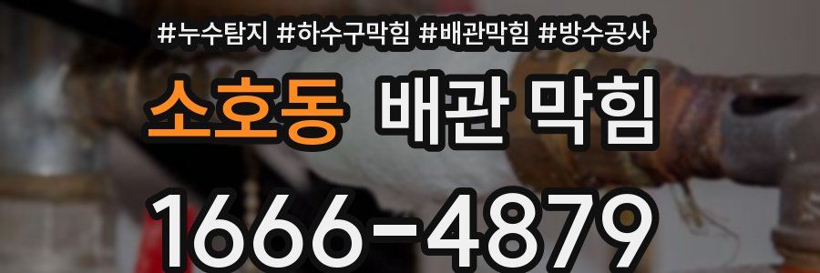 소호동 배관 막힘