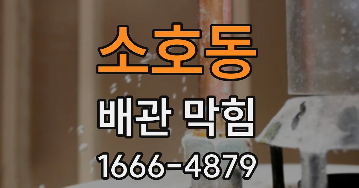 소호동 배관 막힘