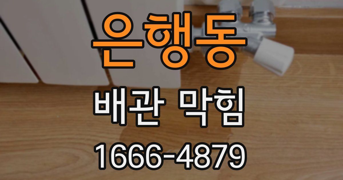 은행동 배관 막힘