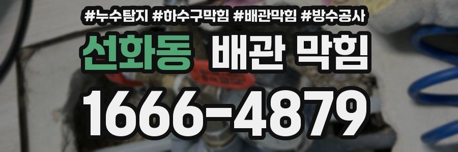 선화동 배관 막힘