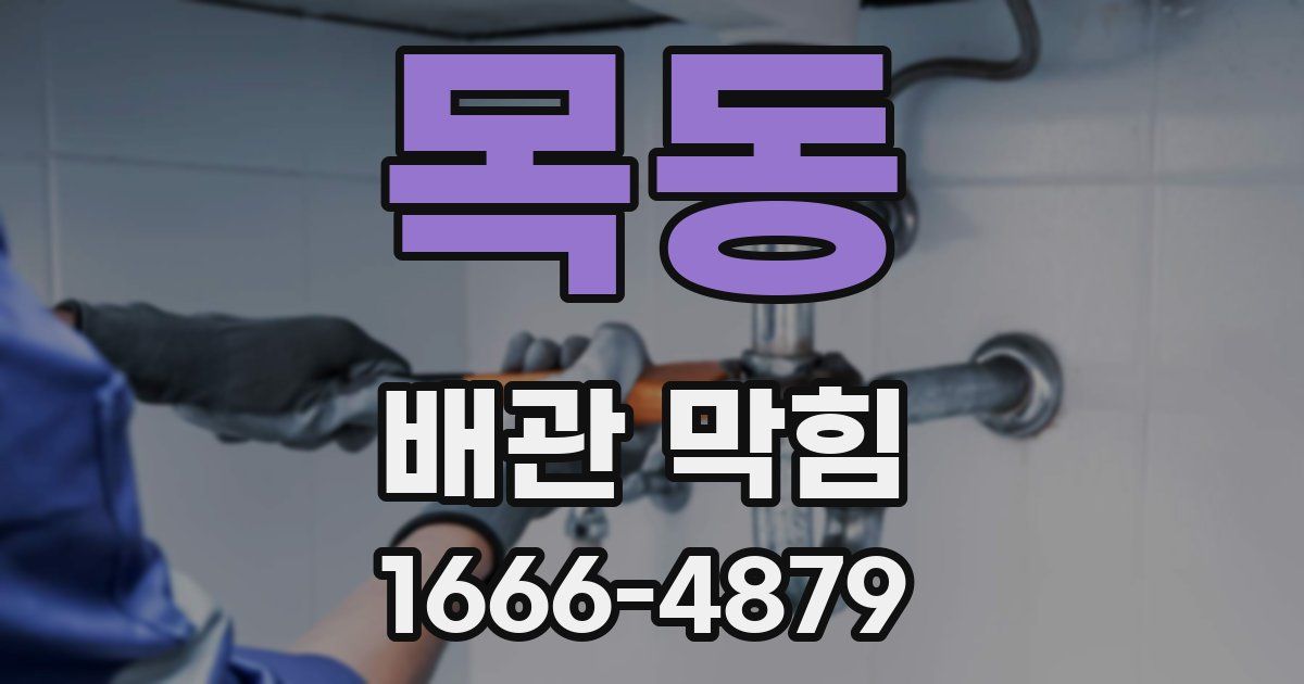 목동 배관 막힘