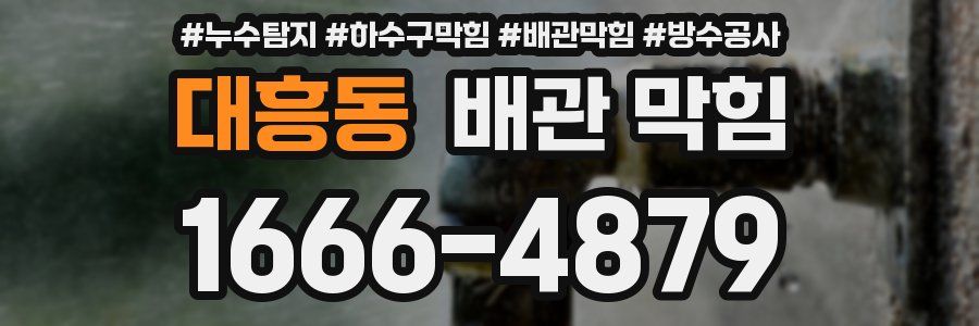 대흥동 배관 막힘