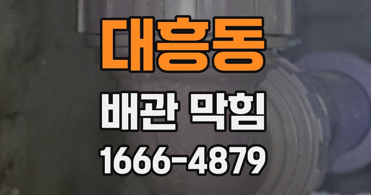 대흥동 배관 막힘
