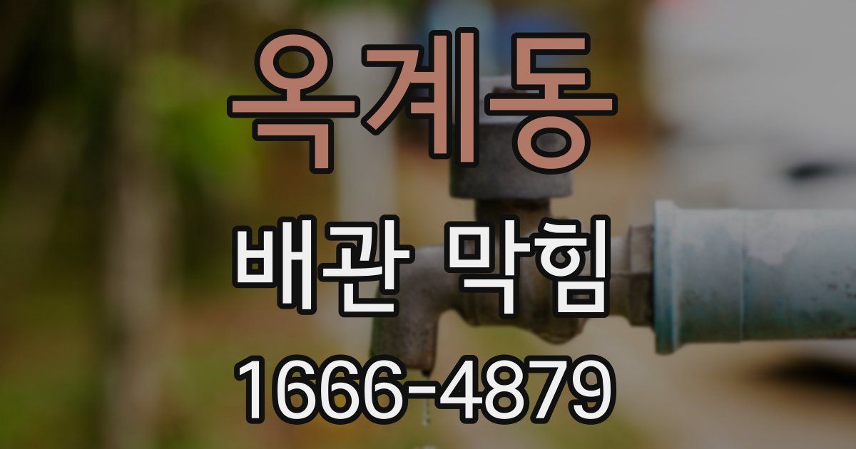 옥계동 배관 막힘