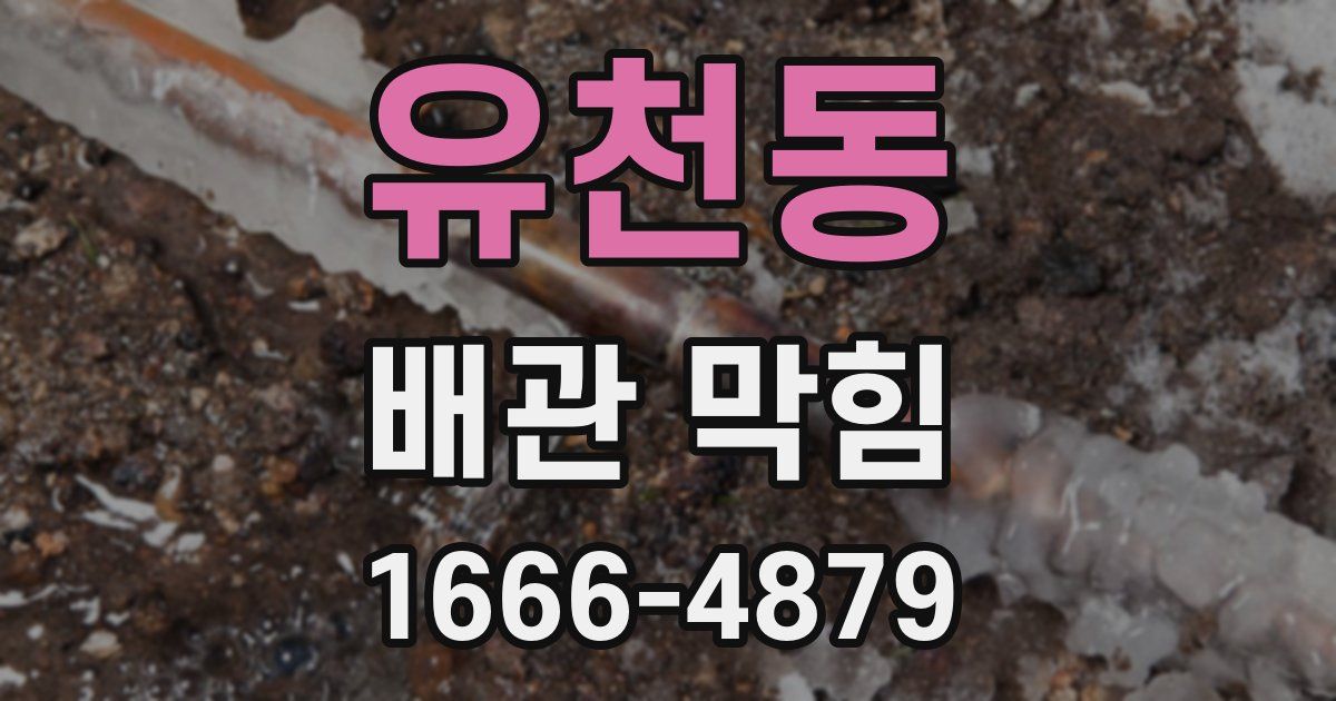 유천동 배관 막힘