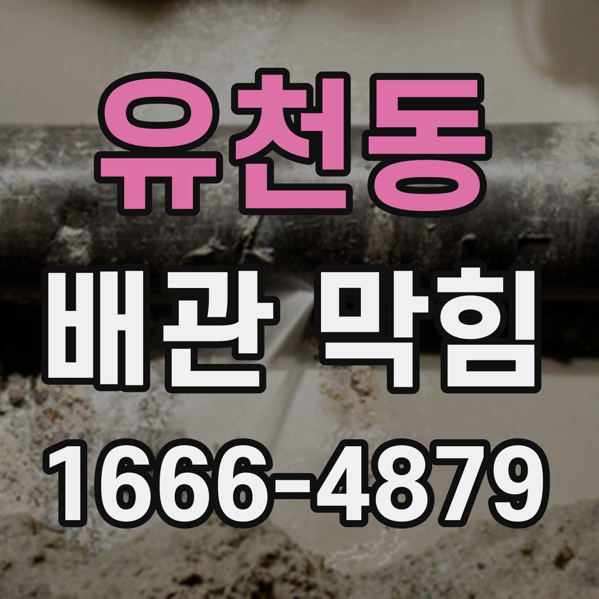 유천동 배관 막힘