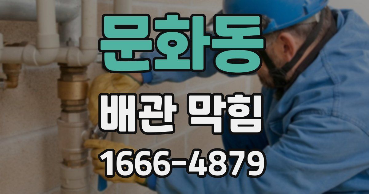 문화동 배관 막힘
