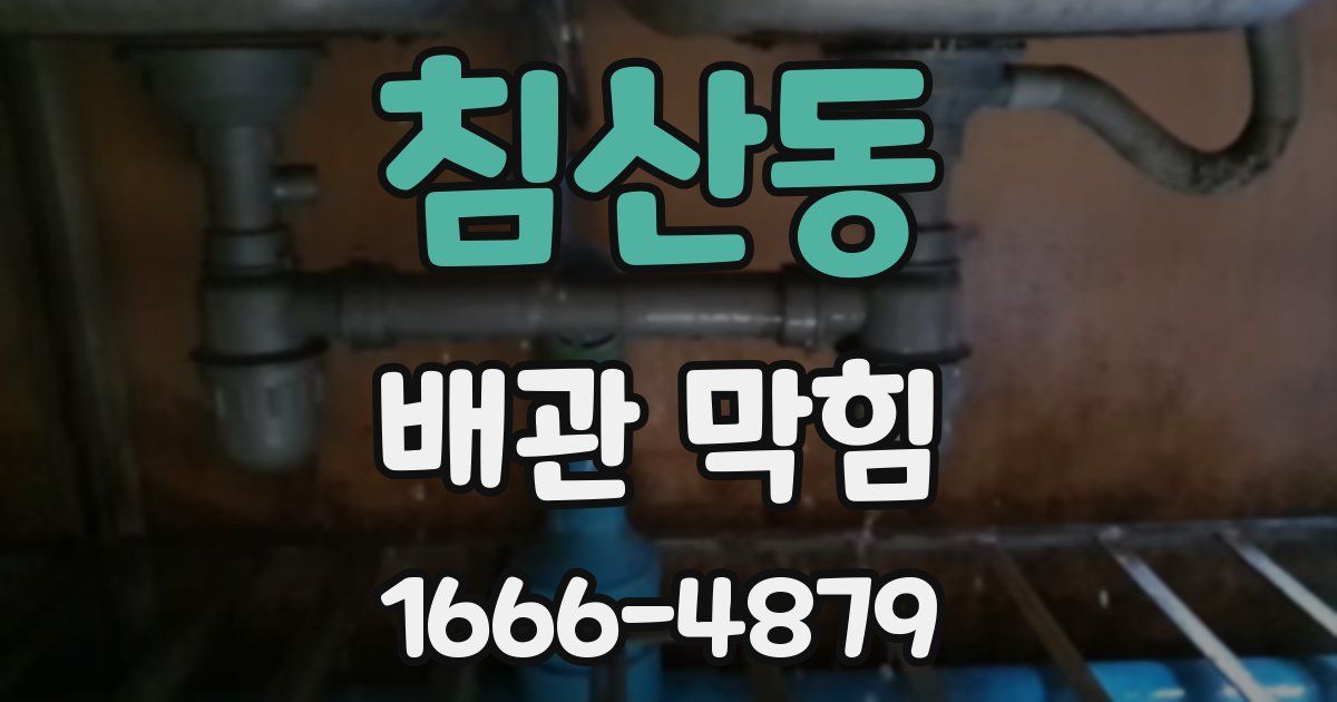 침산동 배관 막힘