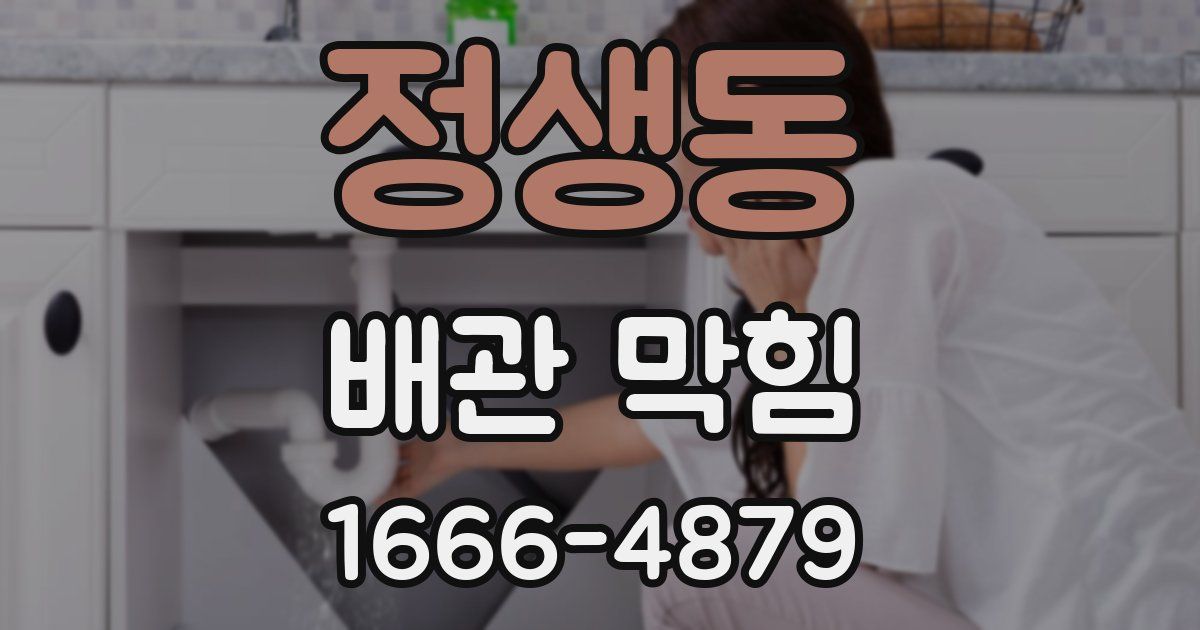 정생동 배관 막힘