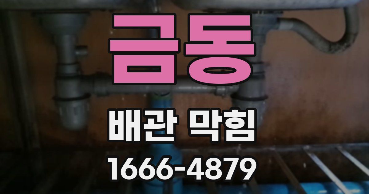 금동 배관 막힘