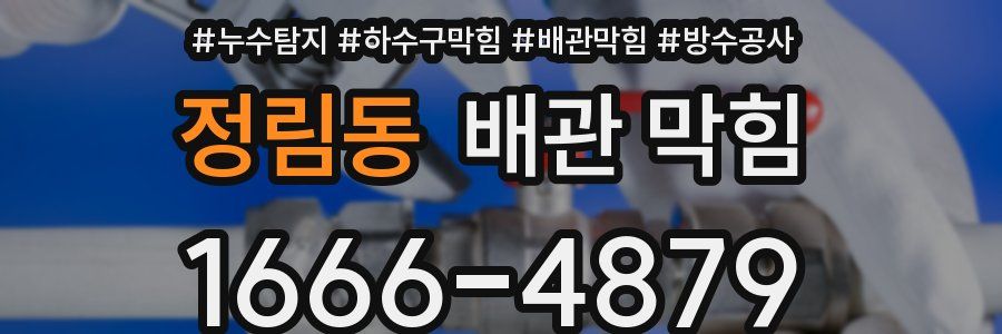 정림동 배관 막힘