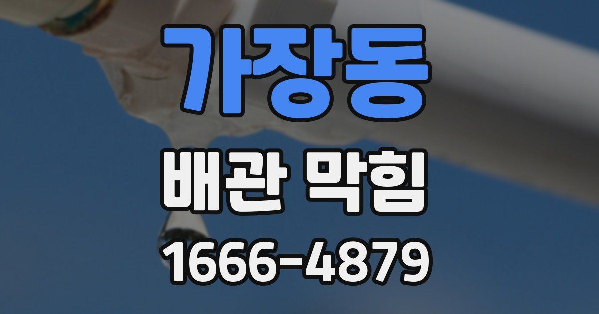 가장동 배관 막힘