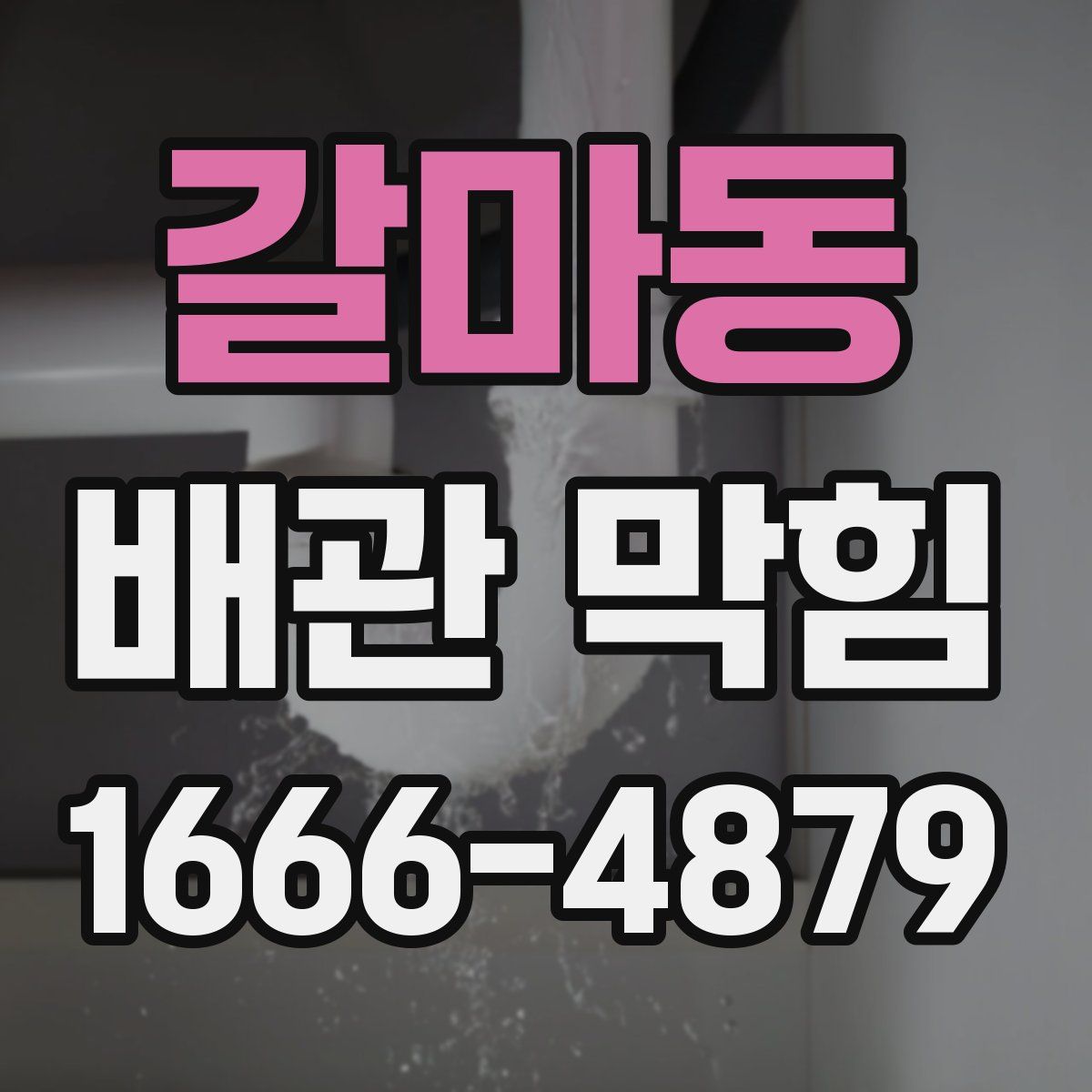 갈마동 배관 막힘