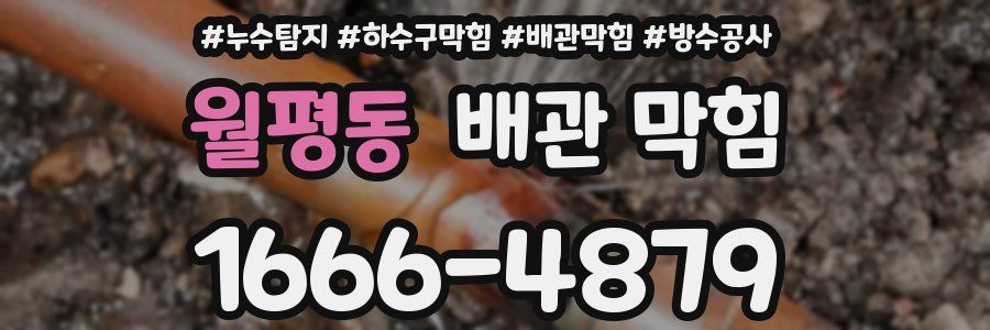 월평동 배관 막힘