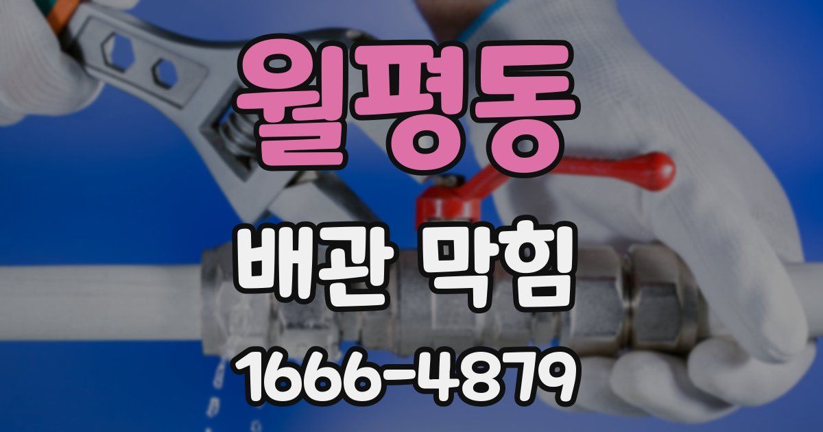 월평동 배관 막힘