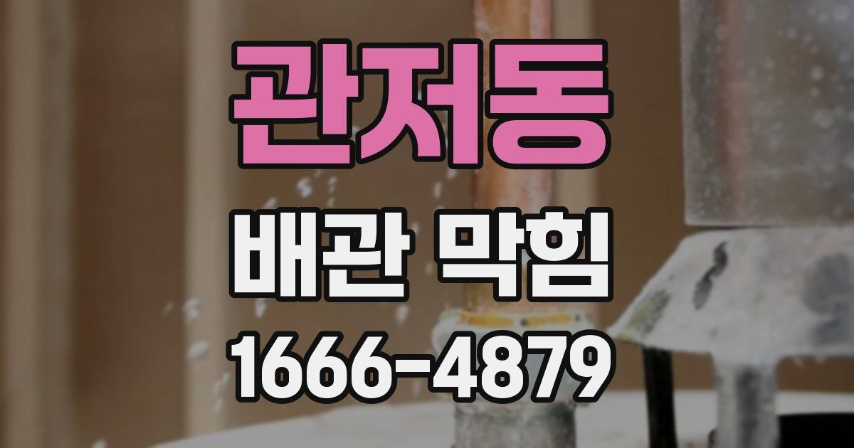 관저동 배관 막힘