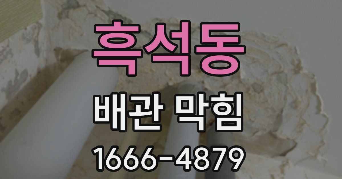 흑석동 배관 막힘