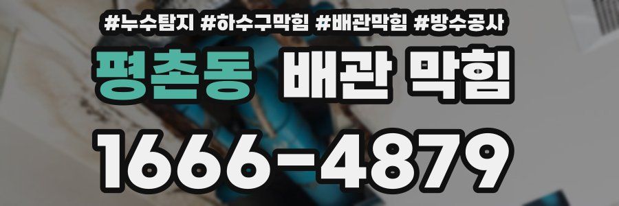 평촌동 배관 막힘