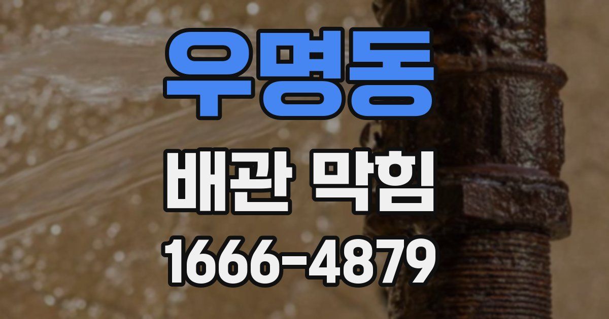 우명동 배관 막힘