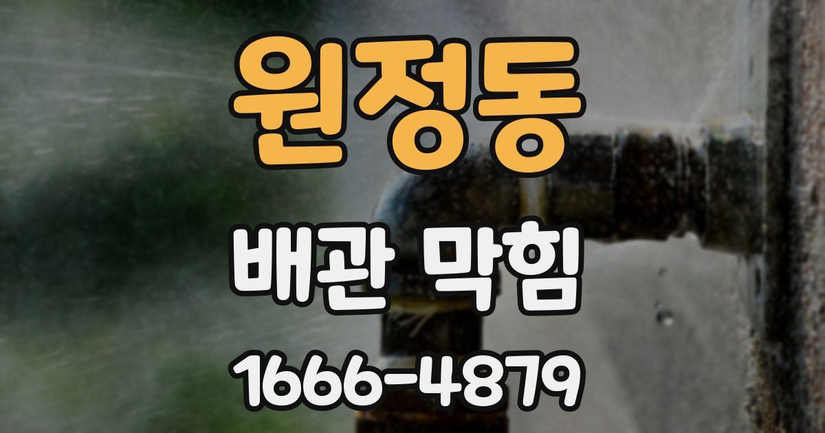 원정동 배관 막힘