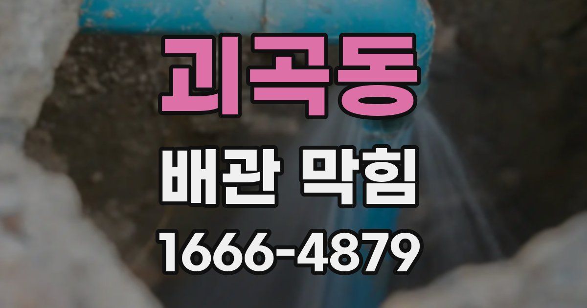 괴곡동 배관 막힘