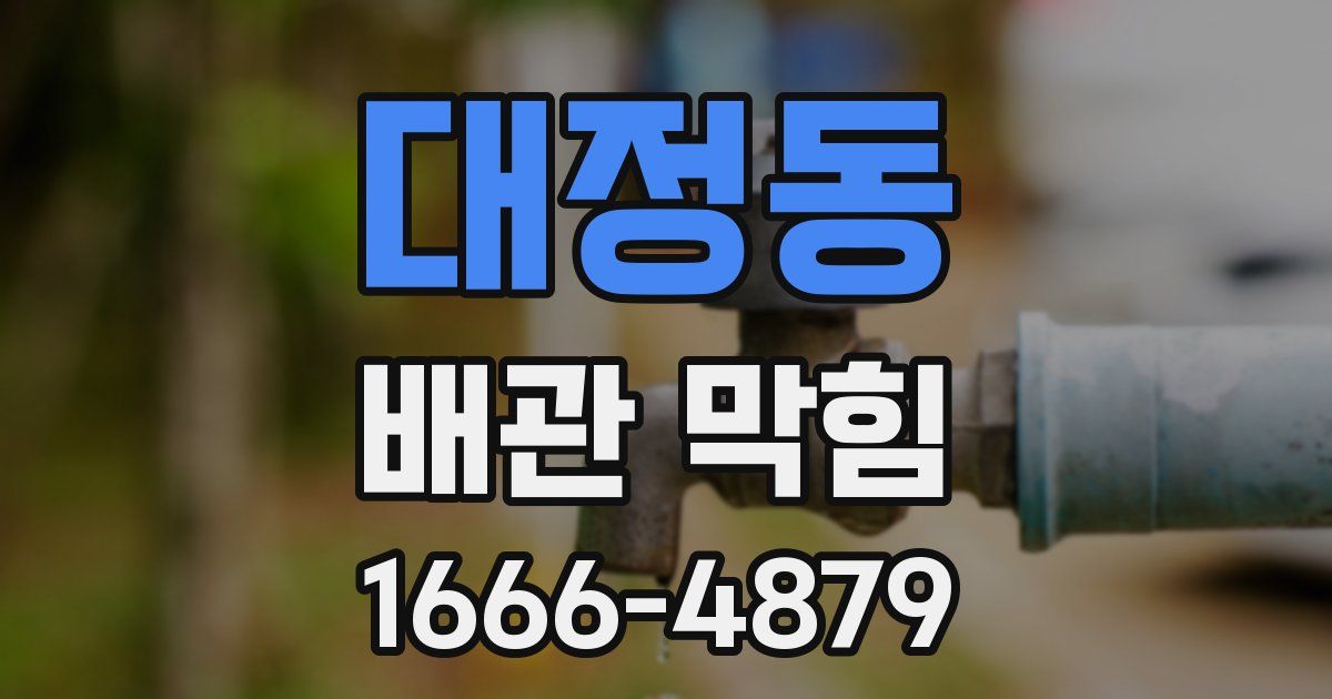 대정동 배관 막힘
