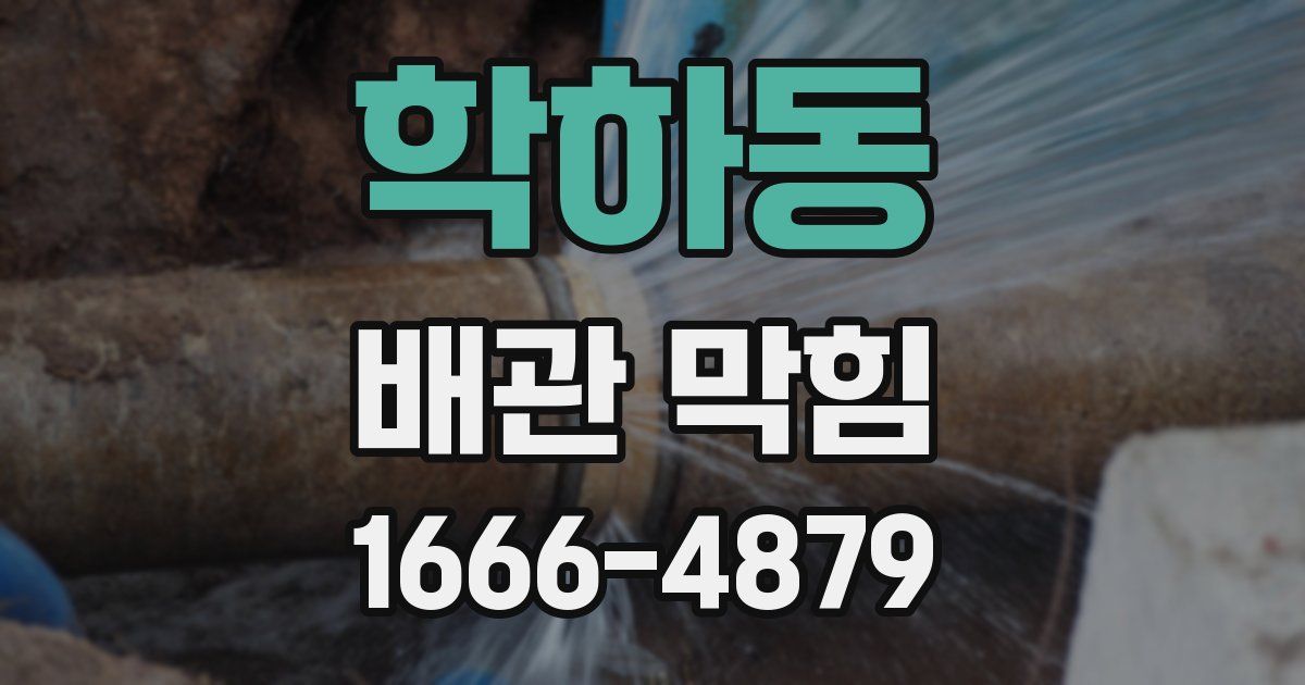 학하동 배관 막힘