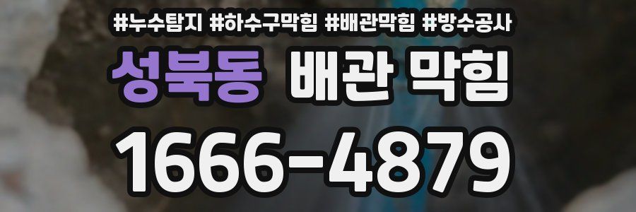 성북동 배관 막힘
