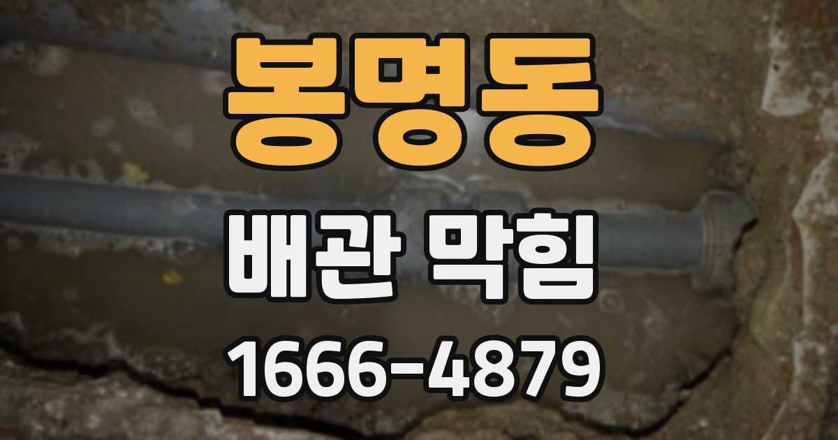 봉명동 배관 막힘