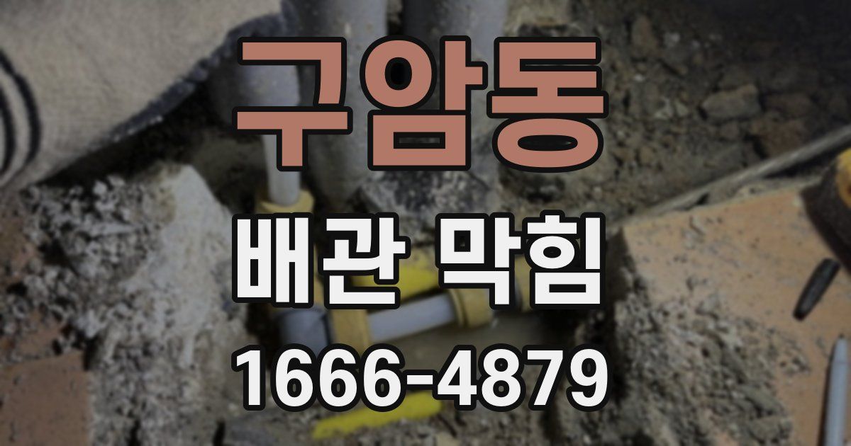 구암동 배관 막힘