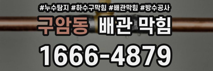 구암동 배관 막힘