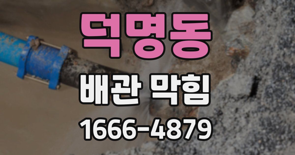 덕명동 배관 막힘